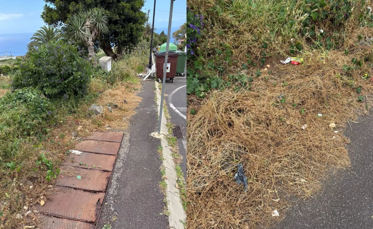 Imagen de la urbanización Jardín del Sol. / CEDIDA