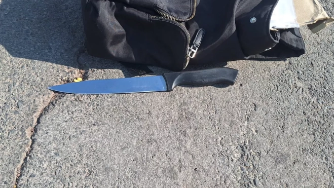 Imagen del arma / AH Imagen del arma / AH