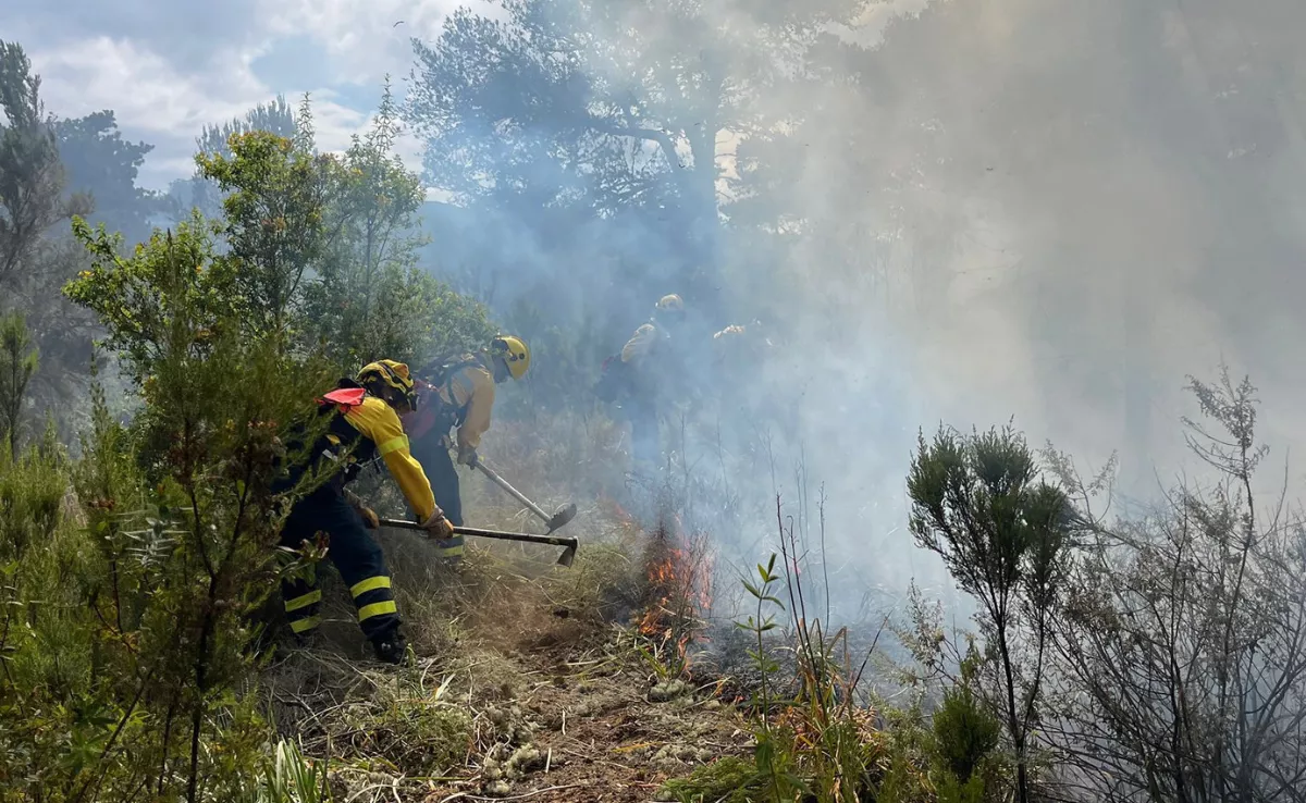Bomberos acotando un incendio forestal. / CEDIDA