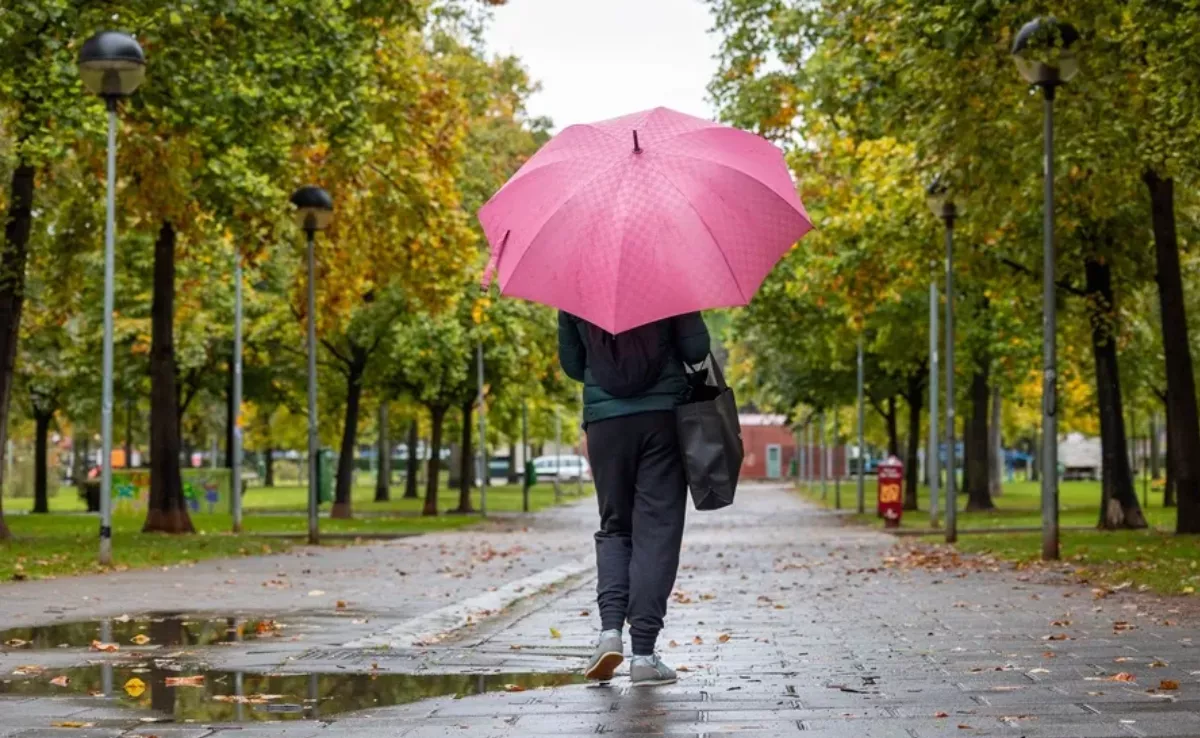 Imagen de una persona paseando bajo la lluvia / EFE