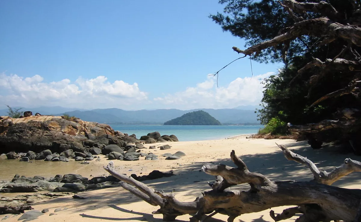 Imagen de una isla virgen / PEXELS