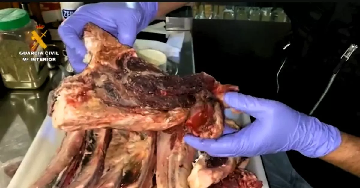 Un agente de la Guardia Civil manipula una de las carnes en mal estado intervenidas en la 'operación Bife', que sienta en el banquillo a 11 acusados. / AH