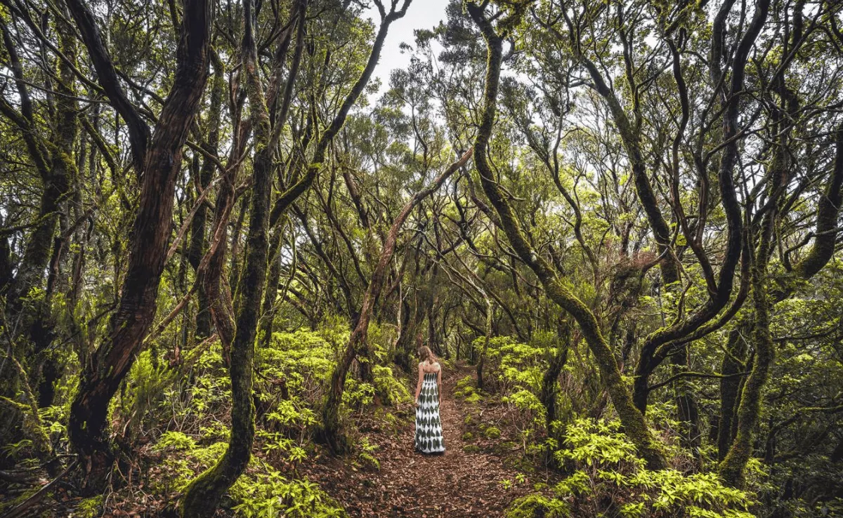 Imagen de una persona paseando por el bosque / HOLA ISLAS CANARIAS