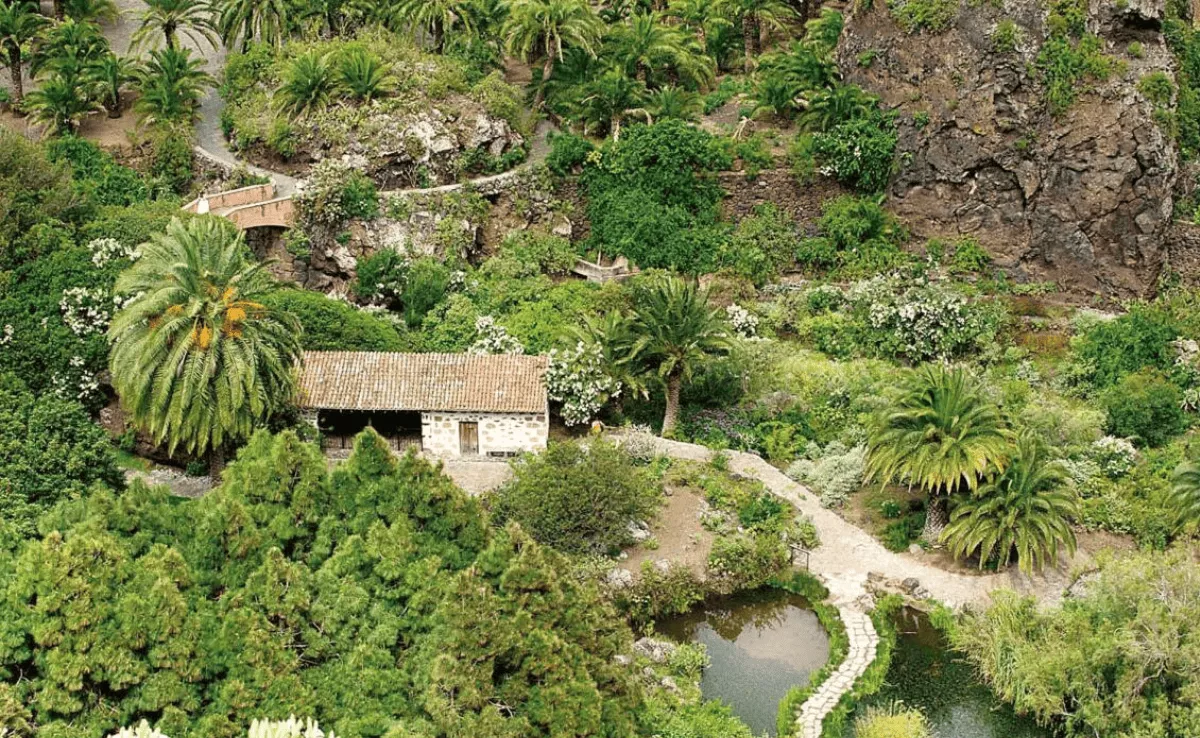 Imagen del jardín botánico / HOLA ISLAS CANARIAS Imagen del jardín botánico / HOLA ISLAS CANARIAS