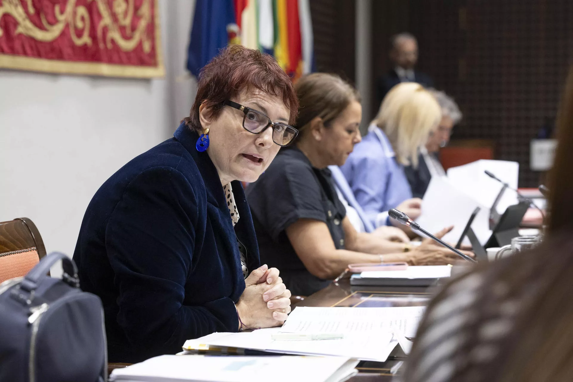 La consejera de Bienestar Social del Gobierno de Canarias, Candelaria Delgado, momentos antes de sufrir un desvanecimiento en el Parlamento de Canarias durante una comisión./ EFE-MIGUEL BARRETO