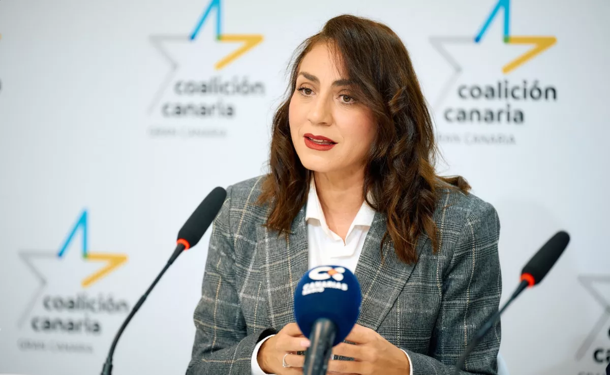 Vidina Cabrera, portavoz de CC en el Cabildo de Gran Canaria / COALICIÓN CANARIA