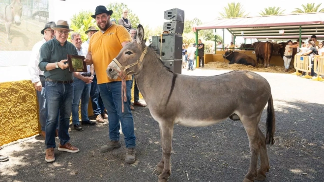 Otro de los animales premiados. / AH Otro de los animales premiados. / AH