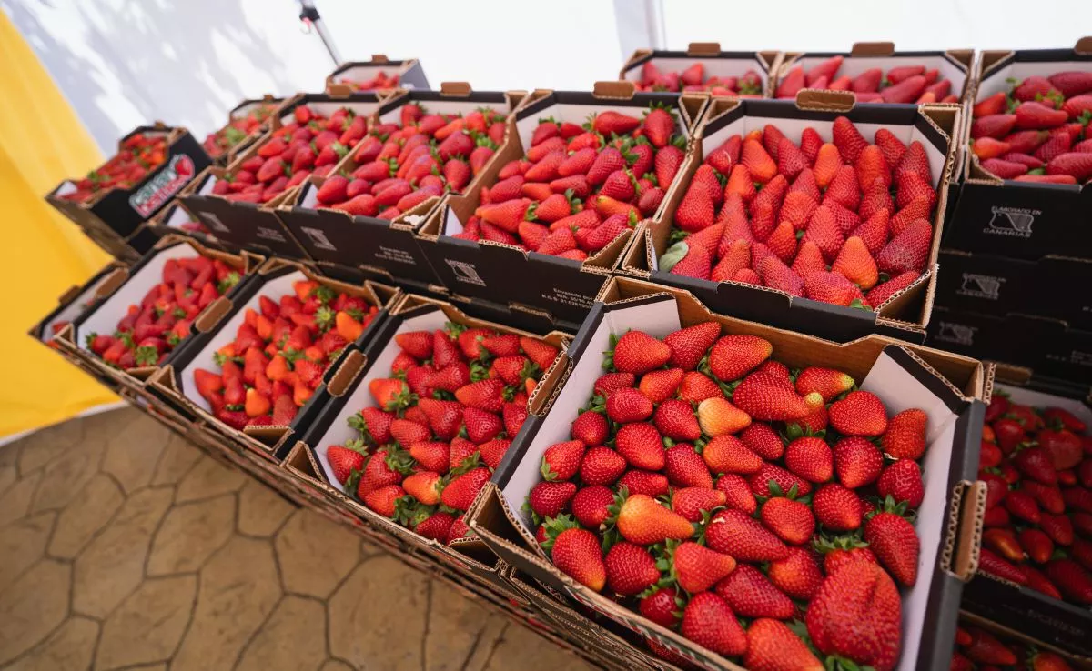 Cajas de fresas. / AH