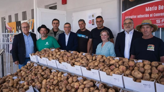 La papa de Valsequillo, otra de las grandes protagonistas de la feria que celebra el municipio. / AH La papa de Valsequillo, otra de las grandes protagonistas de la feria que celebra el municipio. / AH