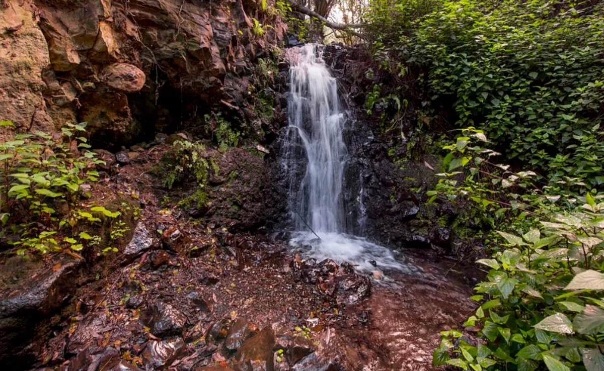 Cascada de la ruta del barranco de Los Cernícalos / SENDERISMO GRAN CANARIA