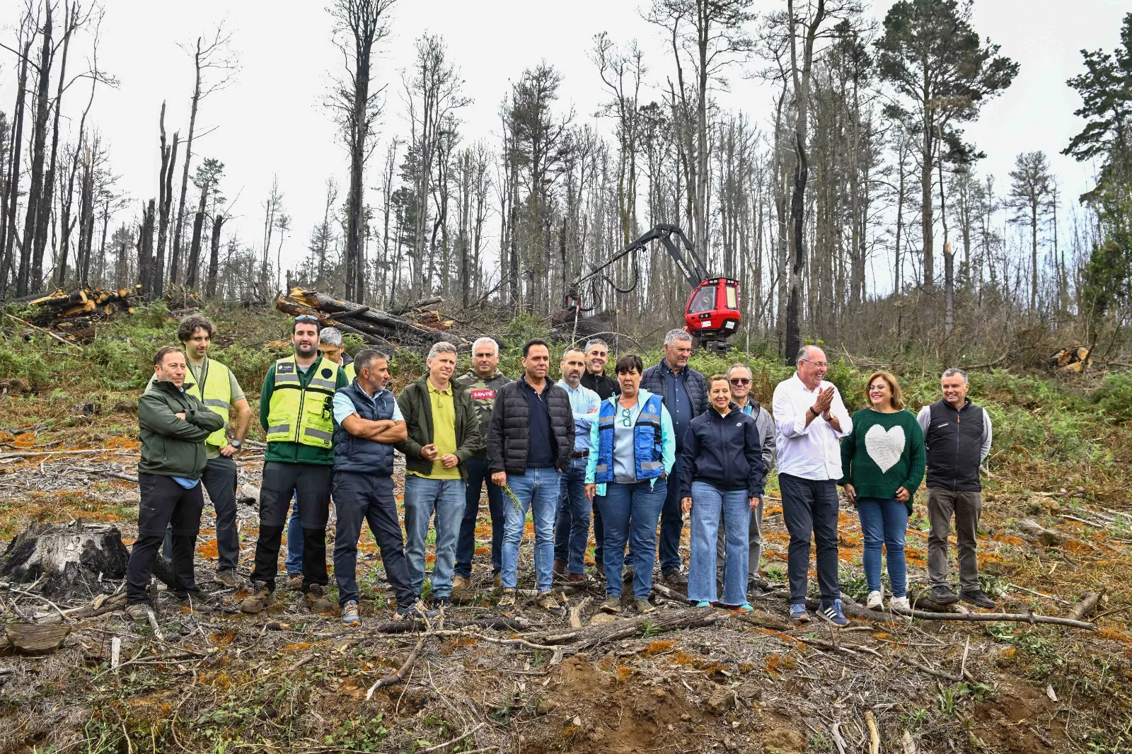 Tenerife convierte 22.000 metros cúbicos de madera quemada en recursos para agricultores y ganaderos./ CEDIDA