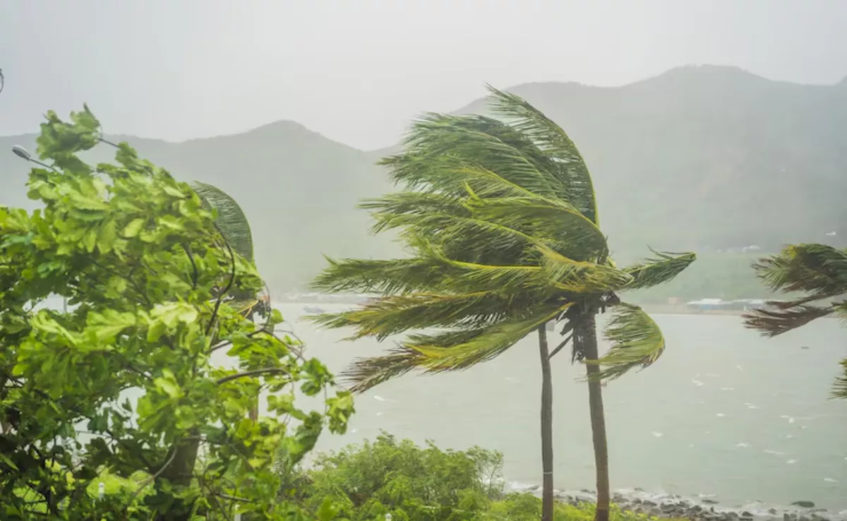 Imagen de fuertes rachas de viento / FREEPIK