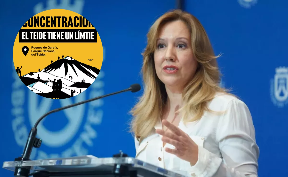 La presidenta insular, Rosa Dávila, junto al cartel de la convocatoria de manifestación en el Teide. / EFE-CEDIDA