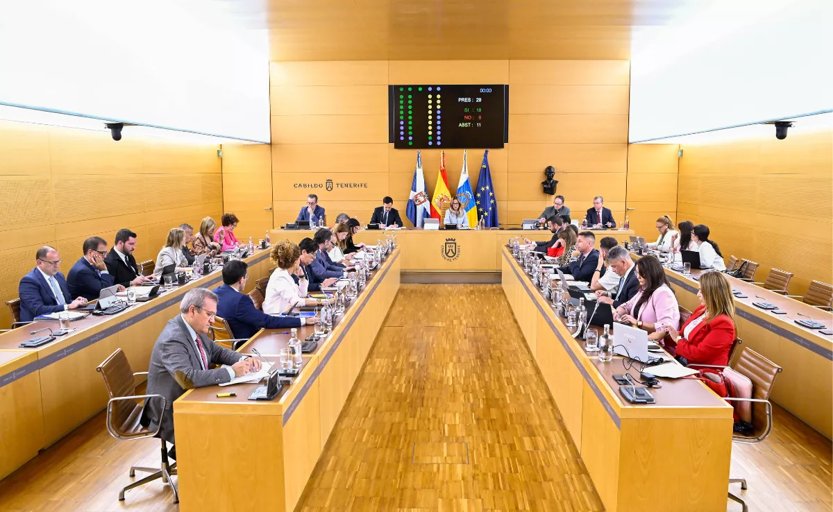 Pleno del Cabildo de Tenerife. / CEDIDA