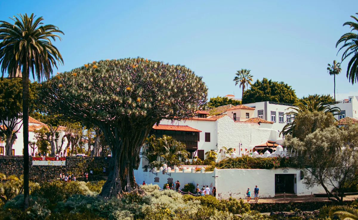 Imagen del pueblo Icod de los Vinos / UNSPLASH