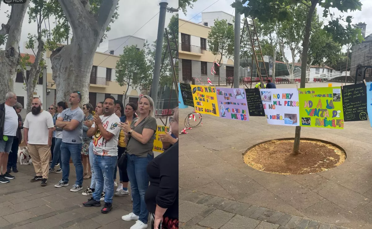 Manifestación de los vecinos de Tacoronte a las puertas del Ayuntamiento por la situación que viven con unos perros que están sueltos y atacan a otros animales. / ATLÁNTICO HOY - ALBA MARICHAL