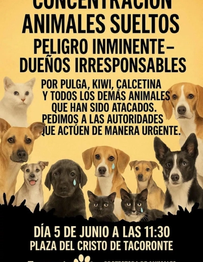 Cartel de la manifestación. / REDES