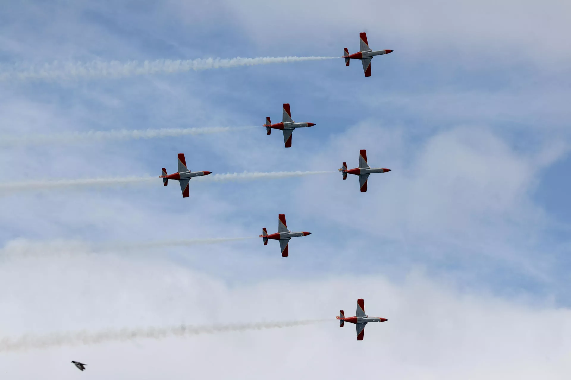 Vuelo de la Patrulla Águila. Vuelo de la Patrulla Águila.