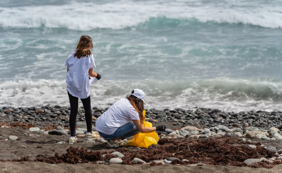 Voluntarias limpian una playa en Canarias / ACFIPRESS