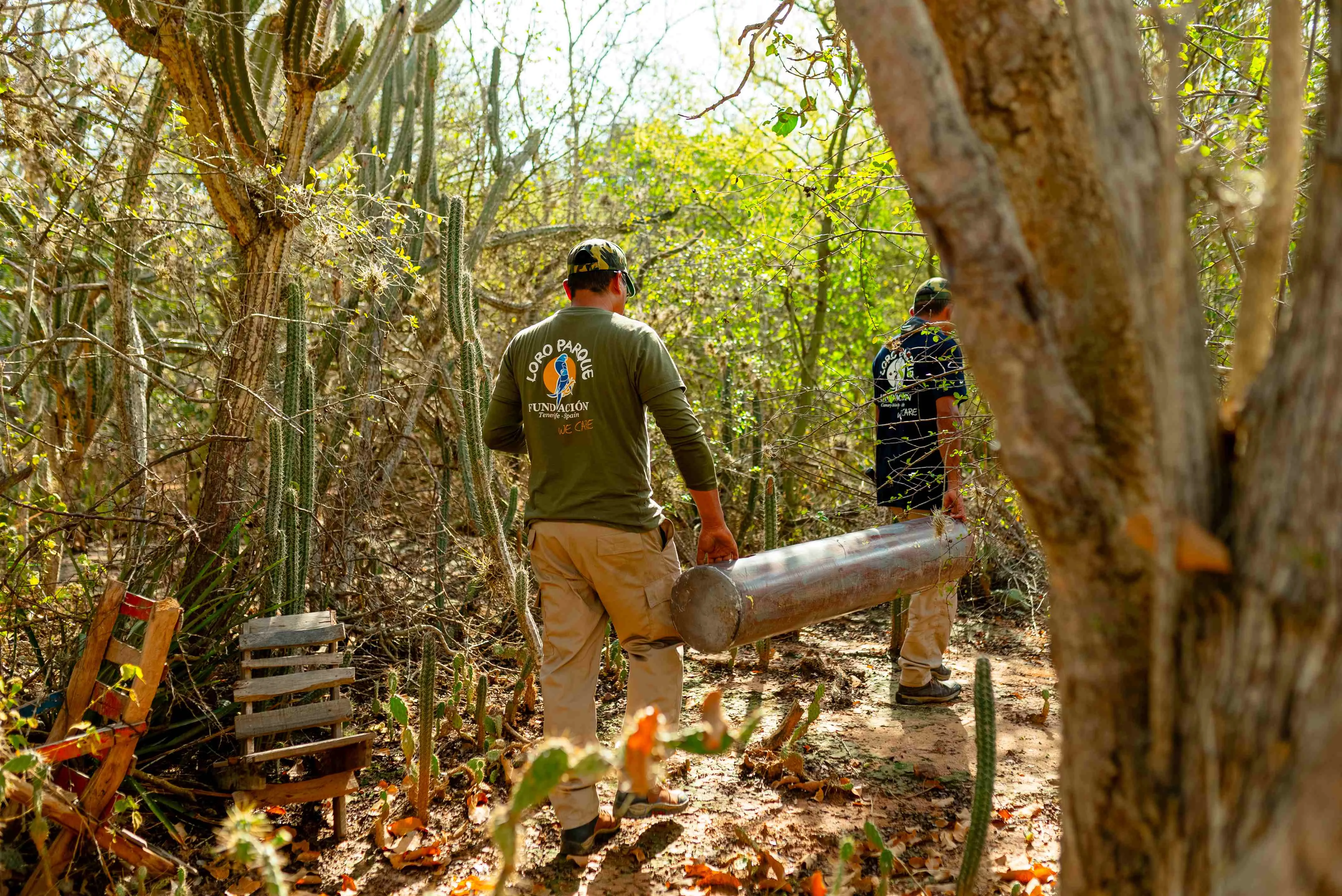 Loro Parque Fundación abre su convocatoria anual para la financiación de proyectos de conservación./ CEDIDA