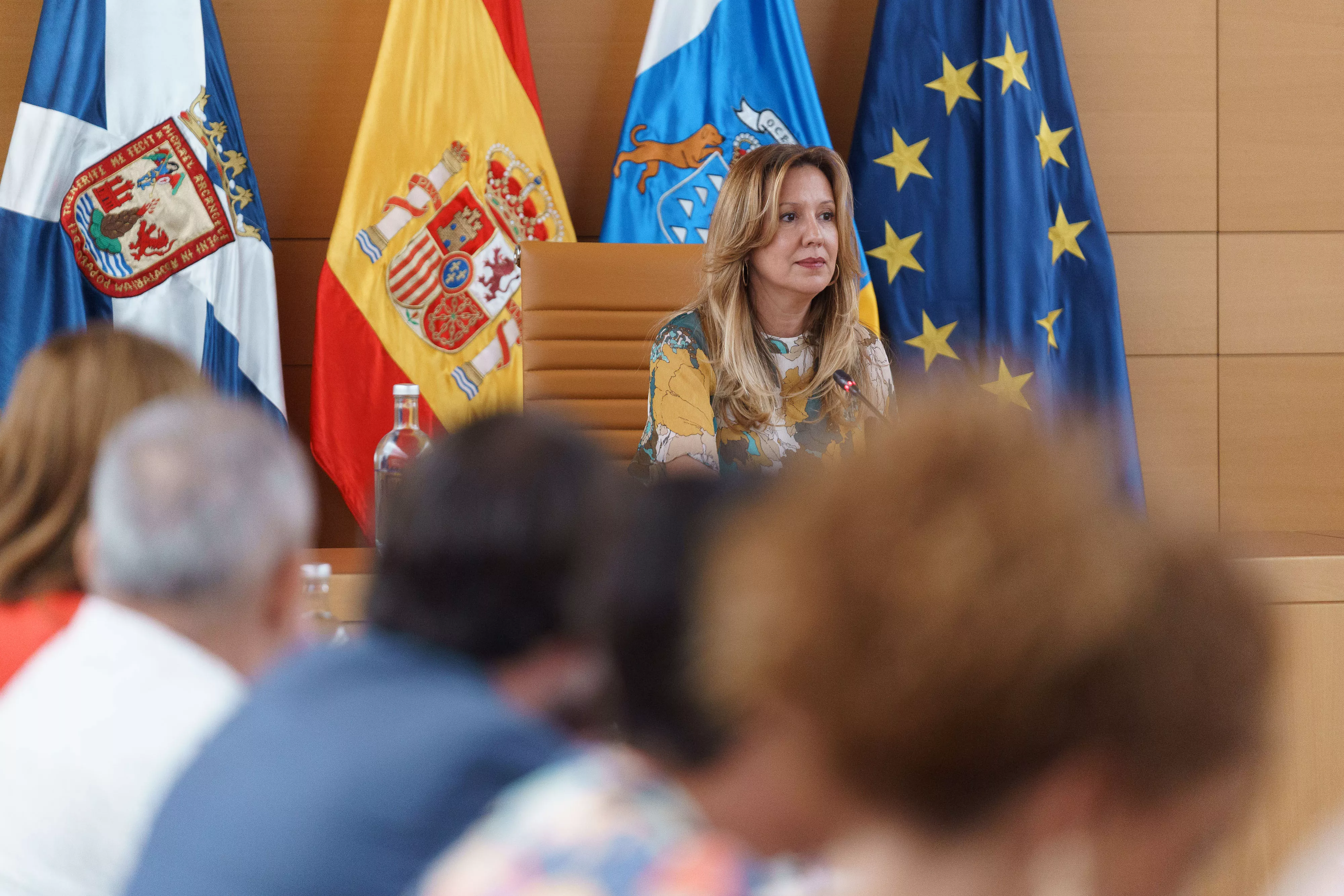 La presidenta del Cabildo de Tenerife, Rosa Dávila, durante el pleno extraordinario del Cabildo de Tenerife celebrado este miércoles. / RAMÓN DE LA ROCHA-EFE