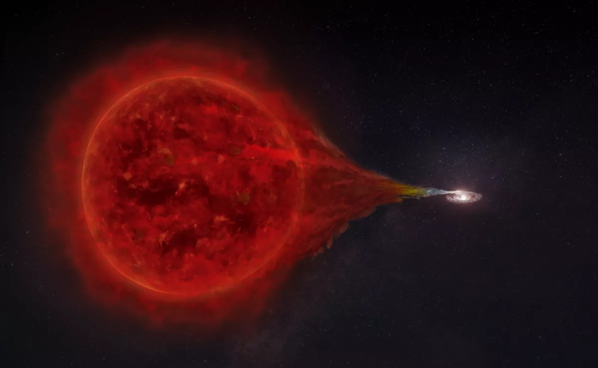 Imagen de la nova / IAC