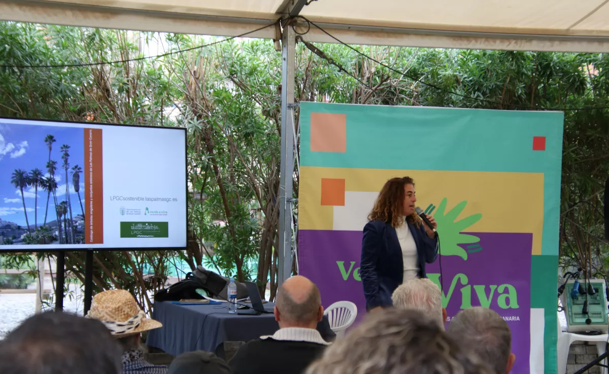 Arranca el proceso para la primera ordenanza que protegerá el arbolado de Las Palmas de Gran Canaria./ CEDIDA