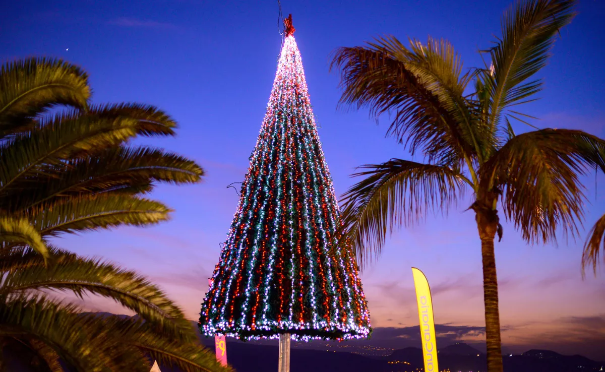 Árbol de Navidad en Las Palmas de Gran Canaria./ CEDIDA