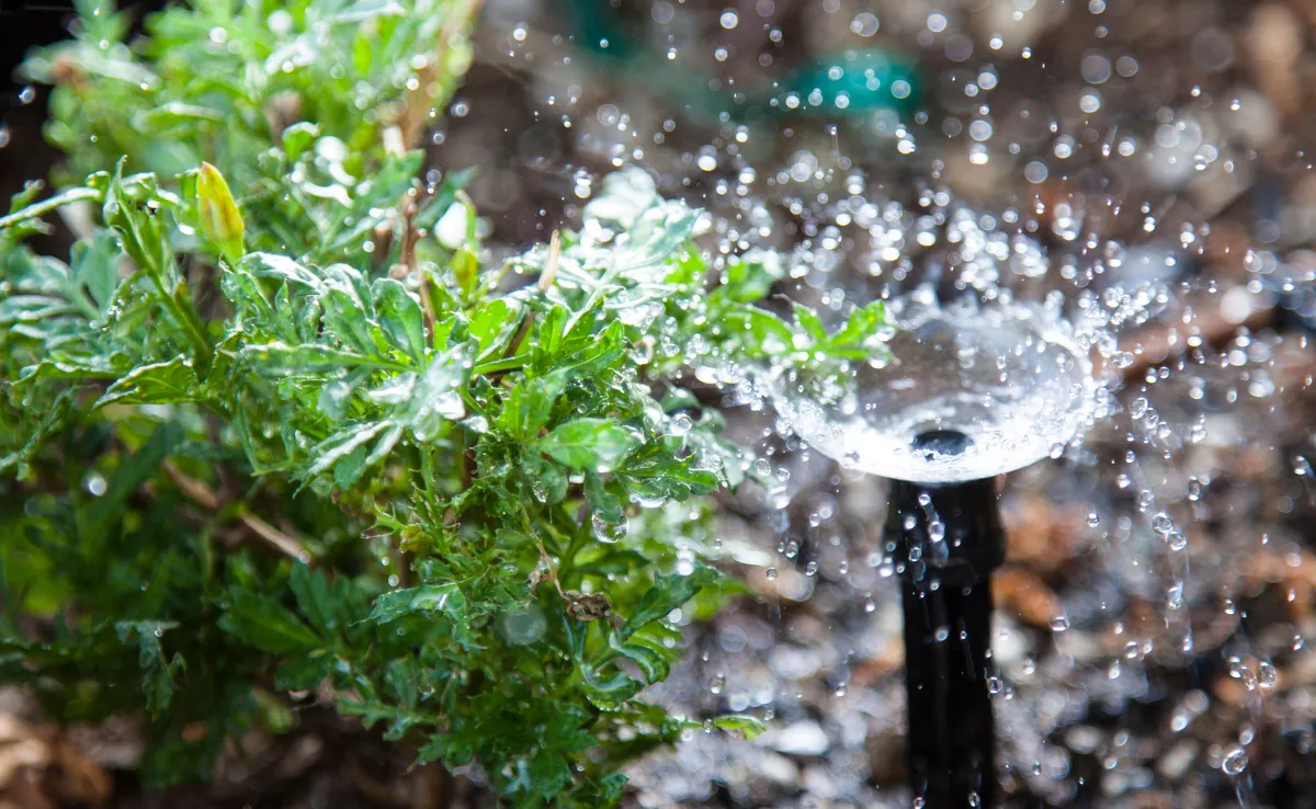 Agua de riego. / IMAGEN DE LA RED