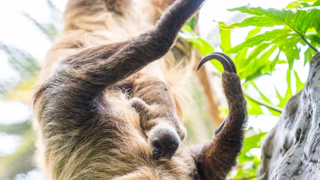 Imagen de WhatsApp 2025 06 18 a las 13.31.46 ff1bf332 Imagen de WhatsApp 2025 06 18 a las 13.31.46 ff1bf332