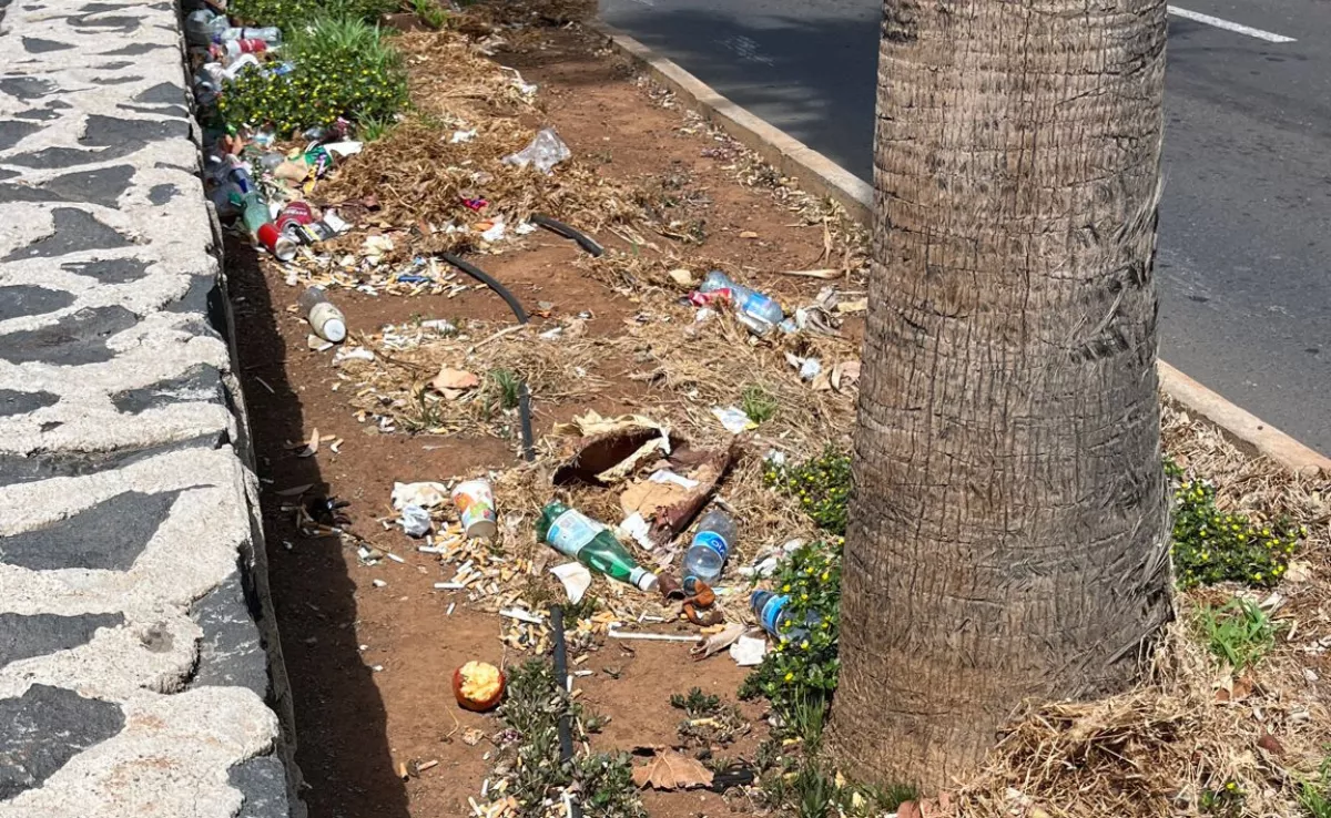 Basura en el Aeropuerto de Tenerife Sur. / CEDIDA