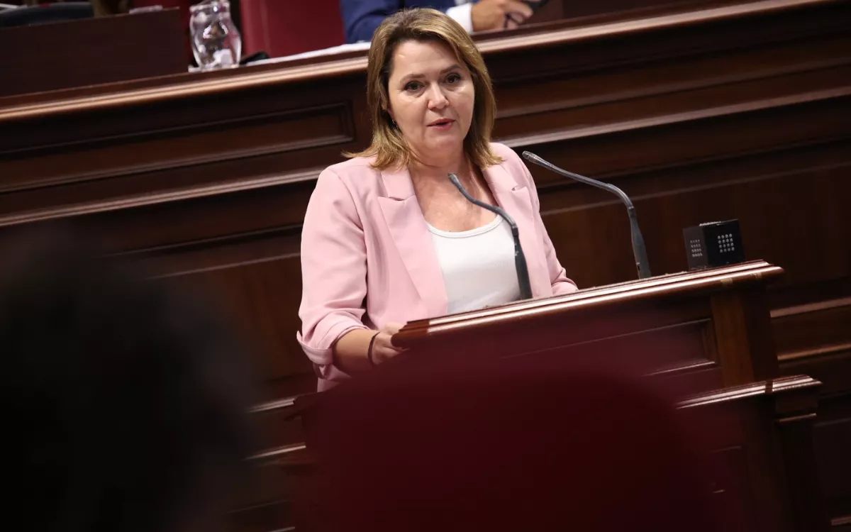El PSOE exige una auditoría independiente por los apagones en La Palma. En la imagen, la diputada por La Palma, Alicia Vanoostende. / AH
