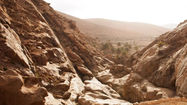 Diseño sin título 2025 06 25T102539.293