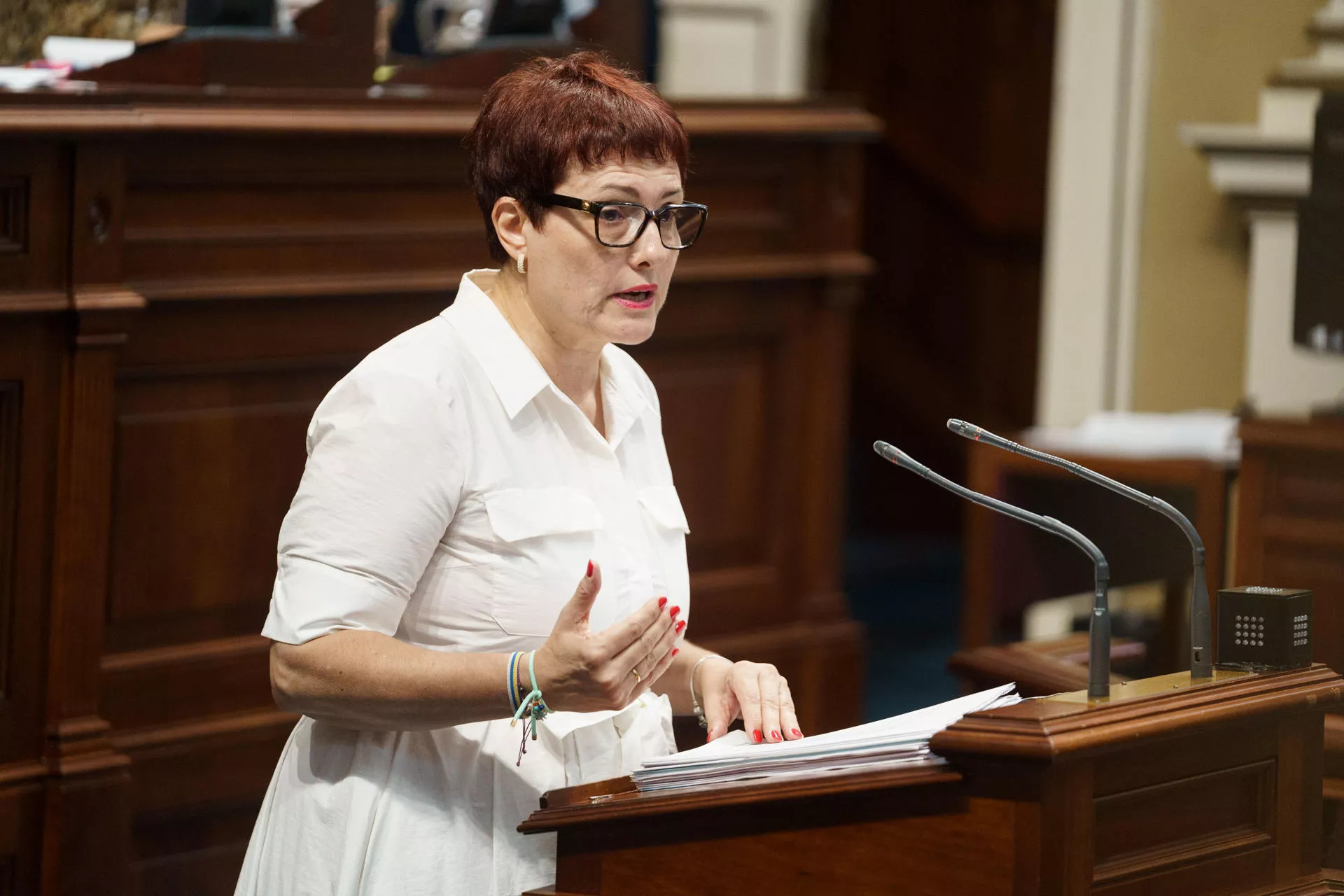 La consejera de Bienestar Social, Igualdad, Juventud, Infancia y Familias del Gobierno de Canarias, Candelaria Delgado./ EFE/Ramón de la Rocha