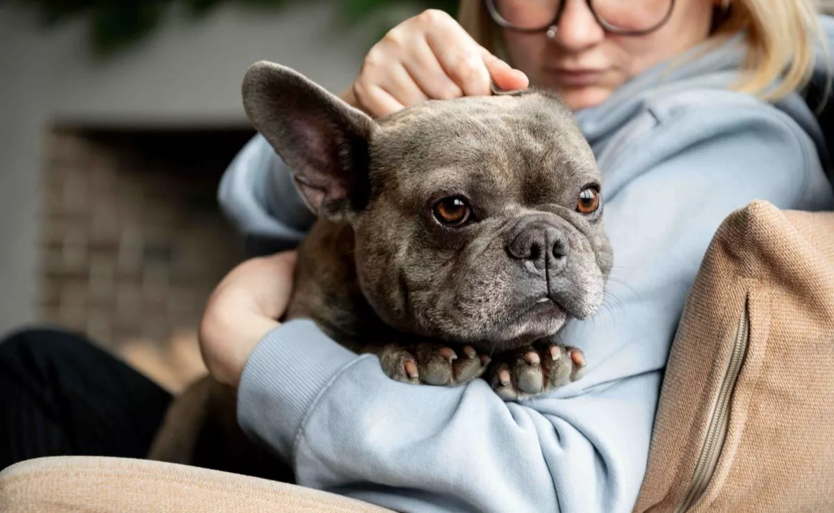 Advance lanza el Vitality Test, una herramienta digital para mejorar la vida de perros senior