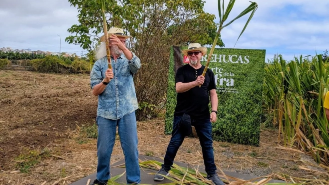 Diseño sin título 2025 06 26T201456.197