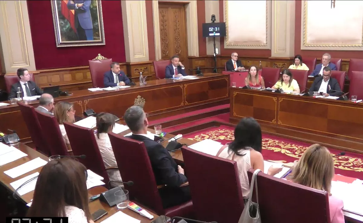 Captura del momento en el que Patricia Hernández califica como mierda el plan de movilidad de Santa Cruz. / AYUNTAMIENTO DE SANTA CRUZ