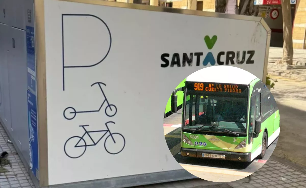 Un contenedor aparcabicis de Santa Cruz y una guagua de la línea 919./ MONTAJE AH