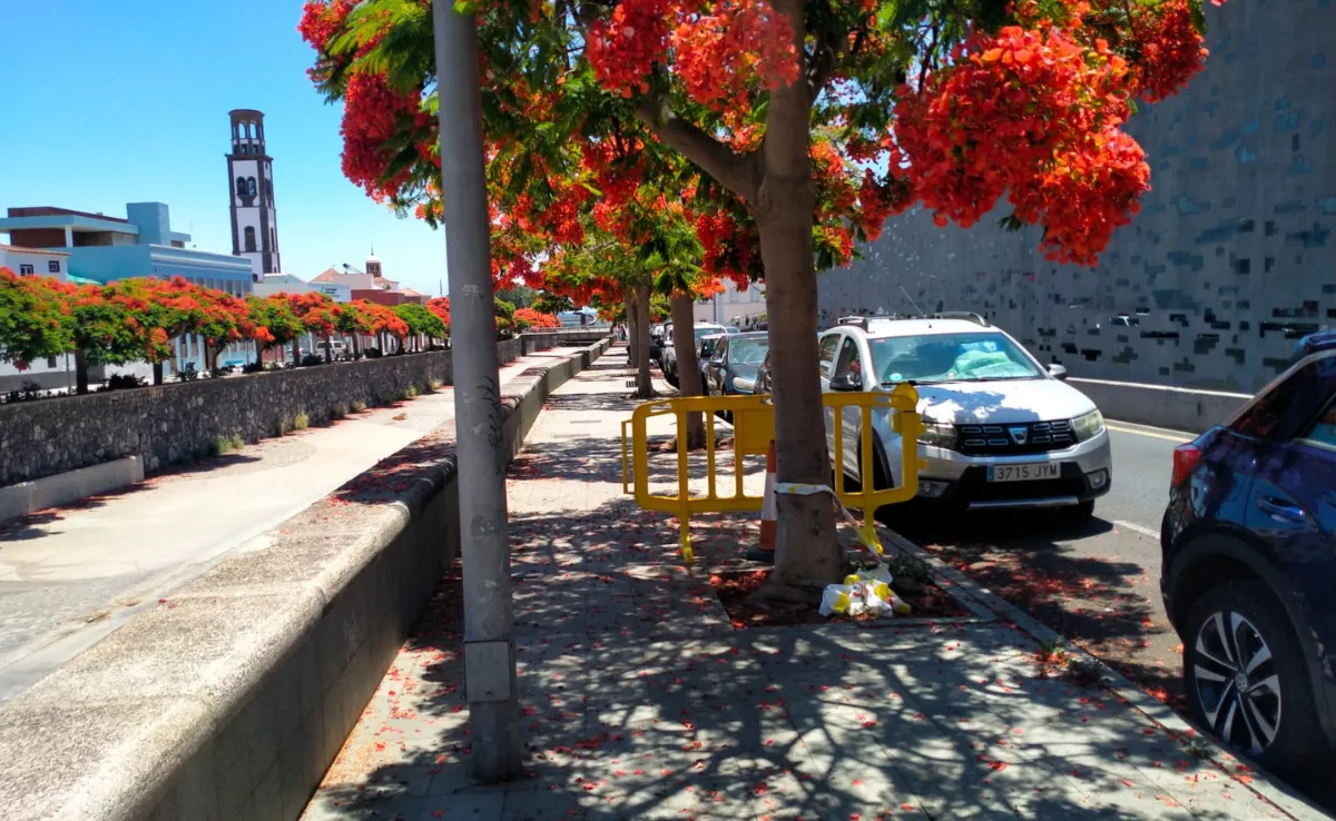 Diseño sin título 2025 06 30T133624.677 Diseño sin título 2025 06 30T133624.677