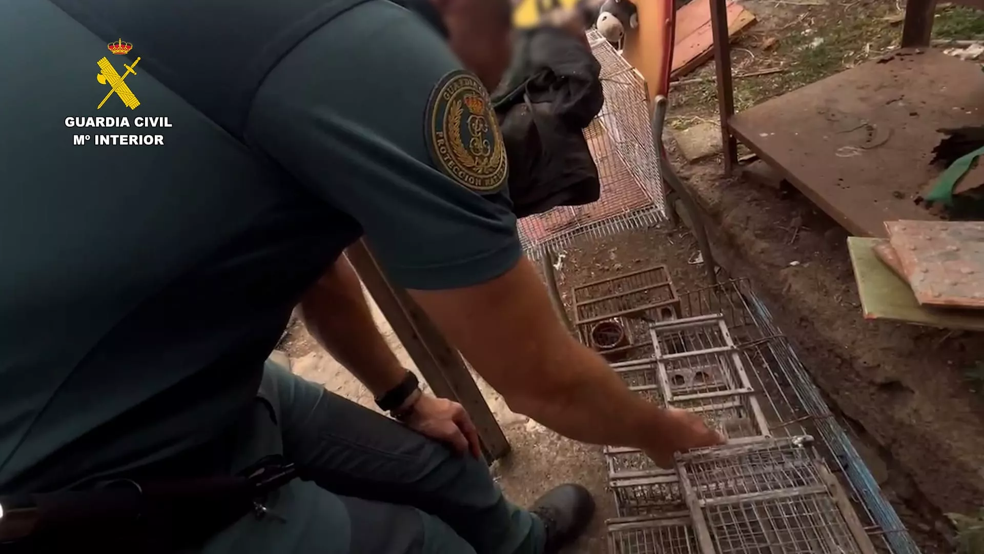 Agentes del SEPRONA durante la inspección. /Cedida