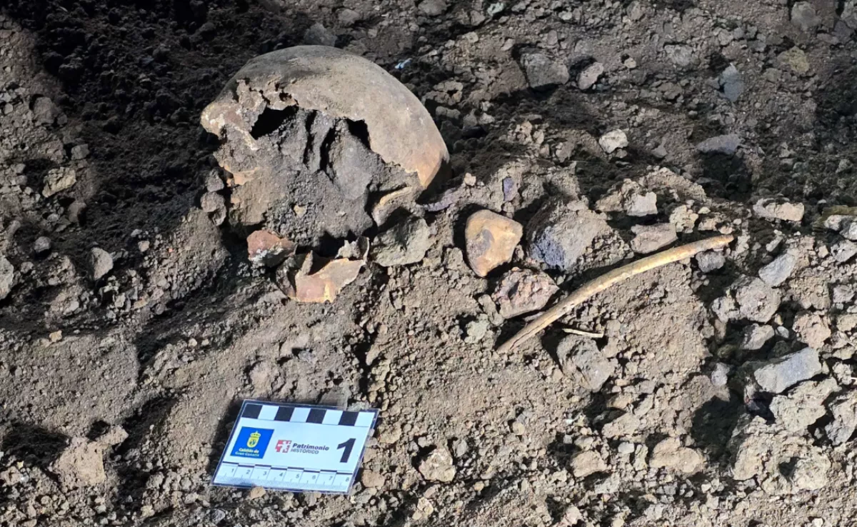 Restos de un cráneo en el fondo de la Sima de Jinámar, en Gran Canaria / EFE