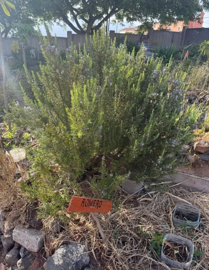 WhatsApp Image 2025 07 04 at 17.27.55 (1)