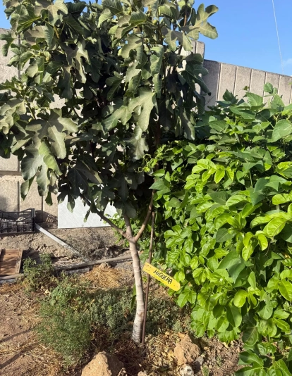 WhatsApp Image 2025 07 04 at 17.27.55