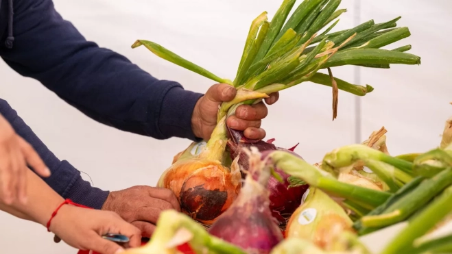 Diseño sin título 2025 07 06T164705.789