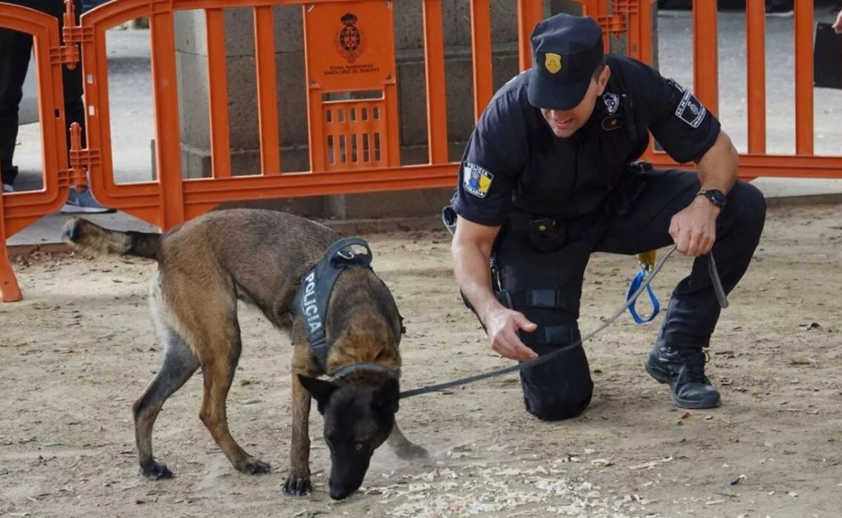 Unidad canina de Policía Local en Tenerife. /Archivo