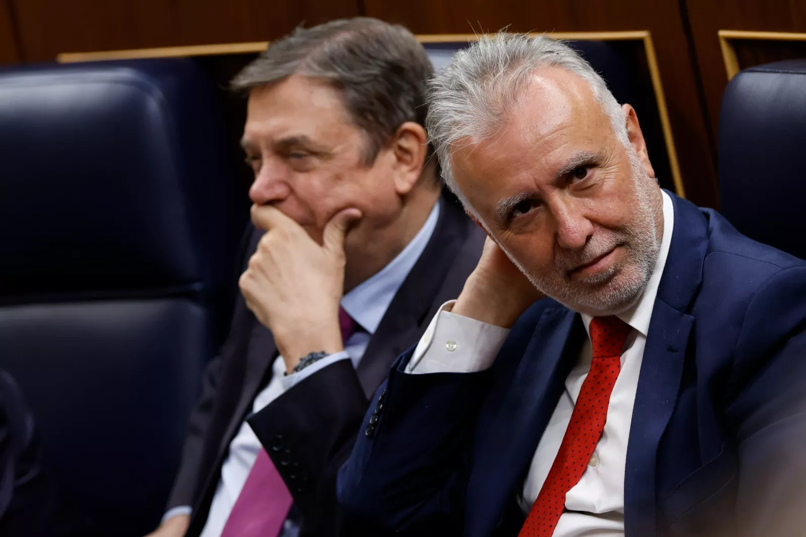 El ministro de Agricultura Lluis Planas y el ministro de Política Territorial y Memoria Democrática Ángel Víctor Torres, durante el pleno en el Congreso de los Diputados, este miércoles. / EFE