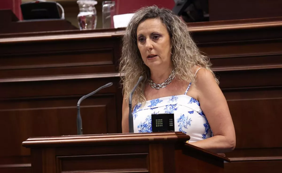 Marta Gómez, diputada Grupo No Adscritos|CEDIDA