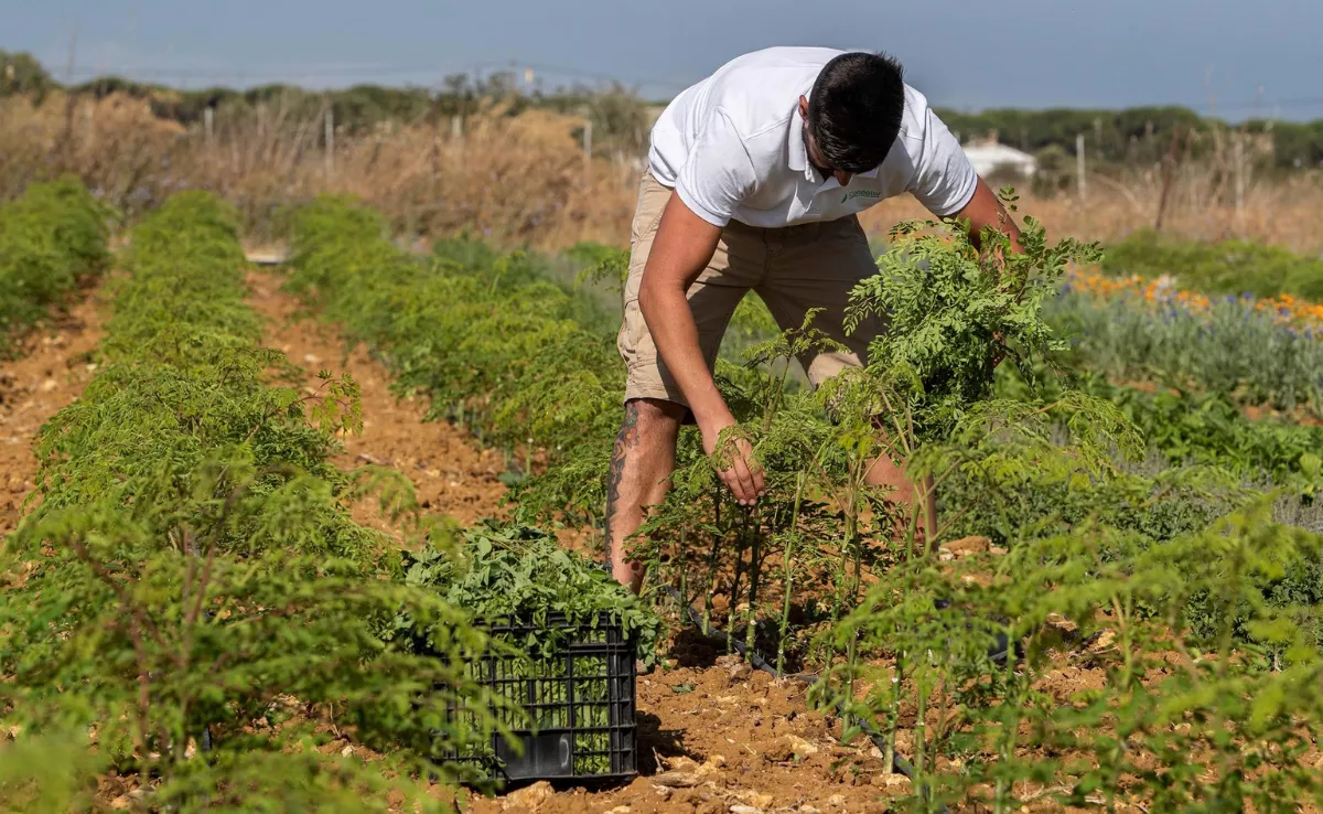 Imagen de un joven trabajando en el campo / EFE