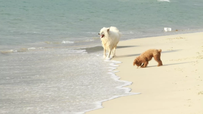 Diseño sin título 2025 07 14T110814.111