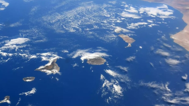 Diseño sin título 2025 07 17T114058.673